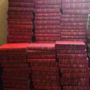 8e5c9944319d44ed820dae6de7ea8445